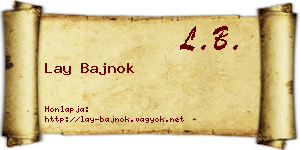 Lay Bajnok névjegykártya